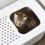 Gestreepte kat zit in een witte kattenbak met bovenin een opening en ventilatiegaten. Kat en kattenbak van bovenaf zichtbaar.
