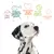 Cibo puro, Perfetto equilibrio proteine-grassi, Benessere degli animali, Per un pianeta migliore, Cani sani e felici. Testo con icone sopra un cane dalmata.