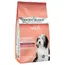 Arden Grange Daily 1+ Adult with Fresh Salmon & Rice - Economy Pack: 2 x 12kg
