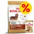 Royal Canin Adult Dachshund hondenvoer, afbeelding van teckel op verpakking, tekst: Joint & Bone Support, Muscle Tone, Stool & Odour Reduction, grote gele kortingssymbool met procentteken.