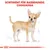 Sortiment für Rassehunde: Chihuahua. Illustration eines Chihuahuas mit Massangaben.