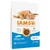 IAMS kattenvoer met oceaanvis, 87% dierlijk eiwit, 100% complete & gebalanceerde voeding, geschikt voor katten vanaf 1 jaar, verpakking van 10 kg. Zichtbare brokjes en merknaam.