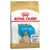 Royal Canin Puppy Bulldog pienso seco para cachorros hasta 12 meses. Apoya el sistema inmunitario, la digestión y la salud articular. Croqueta de forma adaptada.