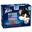 Felix Senior As Good As It Looks 24 x 100g/85g - Mixed Selection in Jelly (24 x 85g)