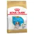 Royal Canin Puppy Cavalier King Charles, upp till 10 månader. Stödjer immunförsvar, hjärthälsa och matsmältning. Skräddarsydd krokettform.