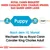 Royal Canin begleitet Cavalier King Charles Spaniel von Puppy (2 Monate) bis Adult (10 Monate). Nach dem 10. Monat wechseln zu Royal Canin Cavalier King Charles Adult.