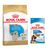 Golden Retriever Puppy (12 kg) + sachets Maxi Puppy en sauce (10 x 140 g)