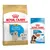 Golden Retriever Puppy (12 kg) + sachets Maxi Puppy en sauce (10 x 140 g)