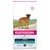 Eukanuba Breed Specific premium dry food for adult Boxer, English, Irish and Gordon Setters, and Doberman Pinschers, with L-carnitine to help burn fat. 12kg bag.