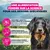 Eukanuba Adult Mono-Protein au saumon pour chien