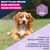 Croquettes Eukanuba Premium Nutrition Puppy Medium Breed au poulet