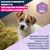 Eukanuba Premium Nutrition Puppy Small & Medium Breed Lamm & Reis