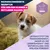 Eukanuba Premium Nutrition Puppy Small & Medium Breed Lamm & Reis