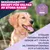 Eukanuba Premium Nutrition Puppy Large & Giant Breed Lamb & Rice