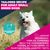 Eukanuba Premium Nutrition Adult Small Breed Chicken