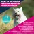 Eukanuba Premium Nutrition Adult Small Breed Pollo