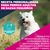 Eukanuba Premium Nutrition Adult Small Breed pollo