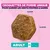 Eukanuba Premium Nutrition Adult Medium Breed au poulet