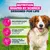 Eukanuba Premium Nutrition Adult Small & Medium Breed Lam & Ris