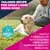 Eukanuba Premium Nutrition Adult Large & Giant Breed karitsa & riisi
