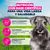 Eukanuba Premium Nutrition Mature Small Breed pollo