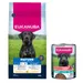 Croquettes Eukanuba Premium Nutrition 12 kg ou 15 kg pour chien + boîtes 3 x 400 g offertes ! - Mature Large et Giant Breed au poulet (15 kg) + Senior Riche en Bœuf et Citrouille 
