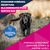 Eukanuba Premium Nutrition Mature Large & Giant Breed, kurczak