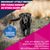 Eukanuba Premium Nutrition Mature Large & Giant Breed Chicken