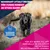 Eukanuba Premium Nutrition Mature Large & Giant Breed Chicken
