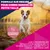 Eukanuba Premium Nutrition Senior Small Breed au poulet