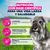 Eukanuba Premium Nutrition Senior Small Breed pollo