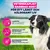 Eukanuba Premium Nutrition Senior Medium Breed Chicken