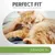 PERFECT FIT, ondersteunt die ganzheitliche Gesundheit des Körpers. Senior 7+. Afbeelding van een oranje kat op schoot. Tekst deels in het Duits.