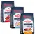 Rocco Mealtime - vegyes próbacsomag 3 x 1 kg (csirke, hal, marha) Rocco Mealtime - vegyes próbacsomag 3 x 1 kg (csirke, hal, marha)