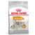Pachet Royal Canin Coat Care Mini, text vizibil: Healthy & Shiny Coat, pentru câini până la 10 kg, rezultate dovedite: blană mai strălucitoare în 28 de zile, imagine cu un câine.