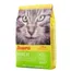 Josera SensiCat - Dubbelpak: 2 x 2 kg