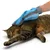 Hand mit blauem Pflegehandschuh streicht über das Fell einer Katze, zeigt Anwendung des Handschuhs zur Fellpflege.