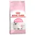 Royal Canin Second Age Kitten -kuivaruoka, kissanpentu kuvassa, teksti: Immune System Support, Digestive Health, Kittens up to 12 months old. Feline Health Nutrition.