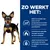 Infografik mit Hund und niederländischem Text: Unterstützt natürlichen Energieverbrauch für Gewichtsverlust, hilft beim Fettverbrennen, Ballaststoffe sorgen für Sättigung zwischen Mahlzeiten.