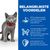 Hill's Science Plan Sterilised Kitten