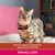 Urinary support supplement specially formulated for all cats.