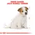 Text 'Breed Range: Jack Russell Terrier' above illustration of a sitting Jack Russell Terrier with measurement lines drawn beside the dog.