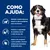 Texto: Como ajuda. Nutrição comprovada para ajudar os cães a perderem peso em 2 meses. Promove a capacidade de caminhar, correr e saltar do seu cão. Ajuda a não recuperar o peso perdido e fornece energia.