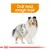 Illustration highlighting dull and rough hair on a dog, with text indicating this coat condition.