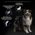 Graphique avec un chien et trois textes : Récupération musculaire rapide, soutient des articulations saines, augmente l'endurance.