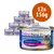 12 lattine da 156 g di Feline Porta 21, alimento complementare per gatti, visibile testo: Hühnerfleisch pur natural. Immagine di gatto sulla confezione. 12 lattine da 156 g di Feline Porta 21, alimento complementare per gatti, visibile testo: Hühnerfleisch pur natural. Immagine di gatto sulla confezione.