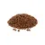 Brown, round dry food pieces in a pile, suitable for describing pet food.