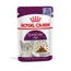 Royal Canin Sensory Feel i gelé - Ekonomipack: 24 x 85 g