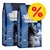 2 confezioni di Wild Freedom Cold River 2 kg, visibile scritta '100% grain-free recipe', immagine di gatto e simbolo percentuale rosso su sfondo giallo per offerta. 2 confezioni di Wild Freedom Cold River 2 kg, visibile scritta '100% grain-free recipe', immagine di gatto e simbolo percentuale rosso su sfondo giallo per offerta.