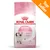 Royal Canin Kitten, fino a 12 mesi. Testo visibile: Strong immune system, Brain development, crocchette mostrate, Top Seller in alto a destra.